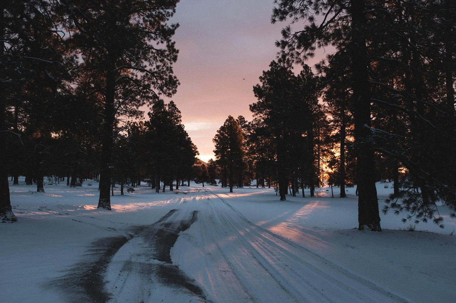 Flagstaff morning after getting a negative COVID swab at Tuthill parking lot facility (December 2020)