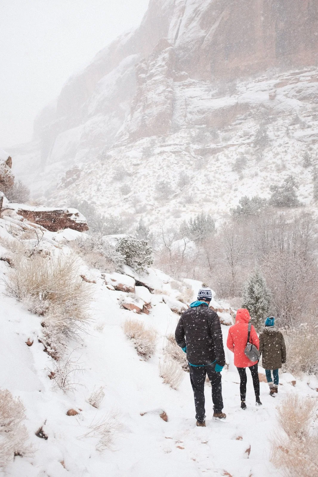 Grandstaff hike in the snow after Daniel and Sylvie slipped down an icy embankment (Jay, Chloe, Sylvie, December 2020)