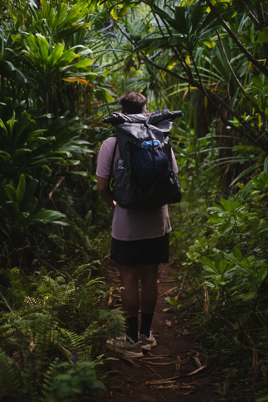 Hiking on the Kalalau (Daniel, January 2026)