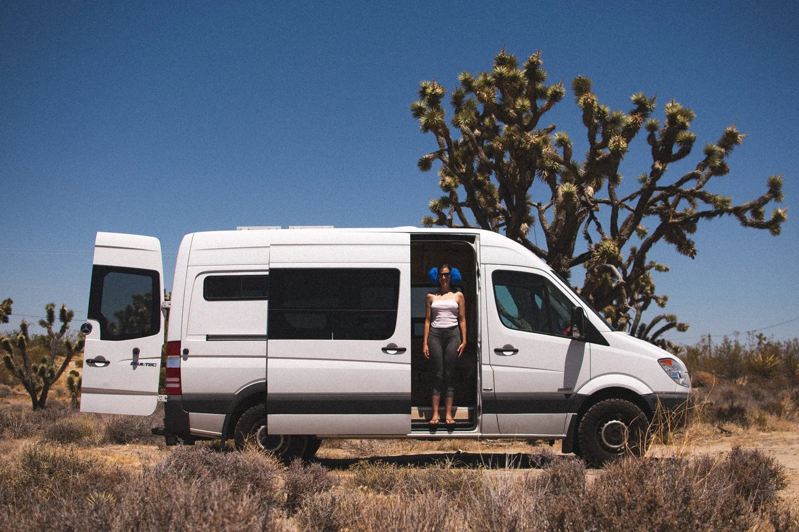Joshua Tree Forest (Chloe, August 2020)