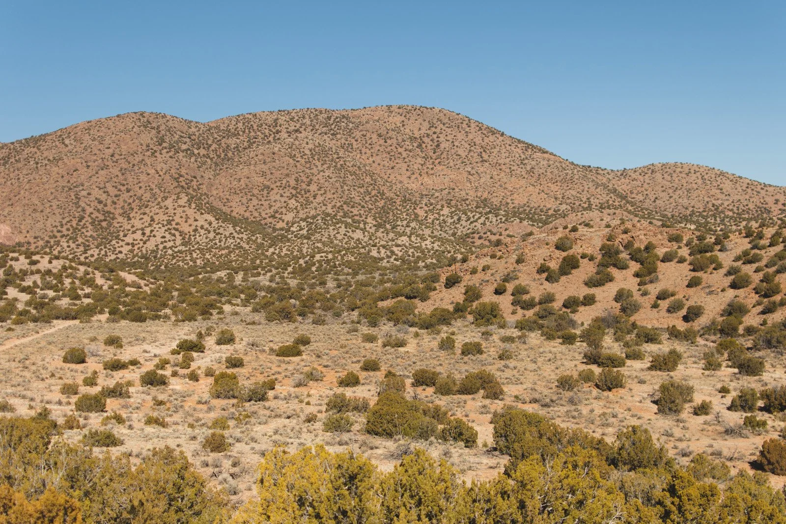 Birthday Valley, NM (March 2020)