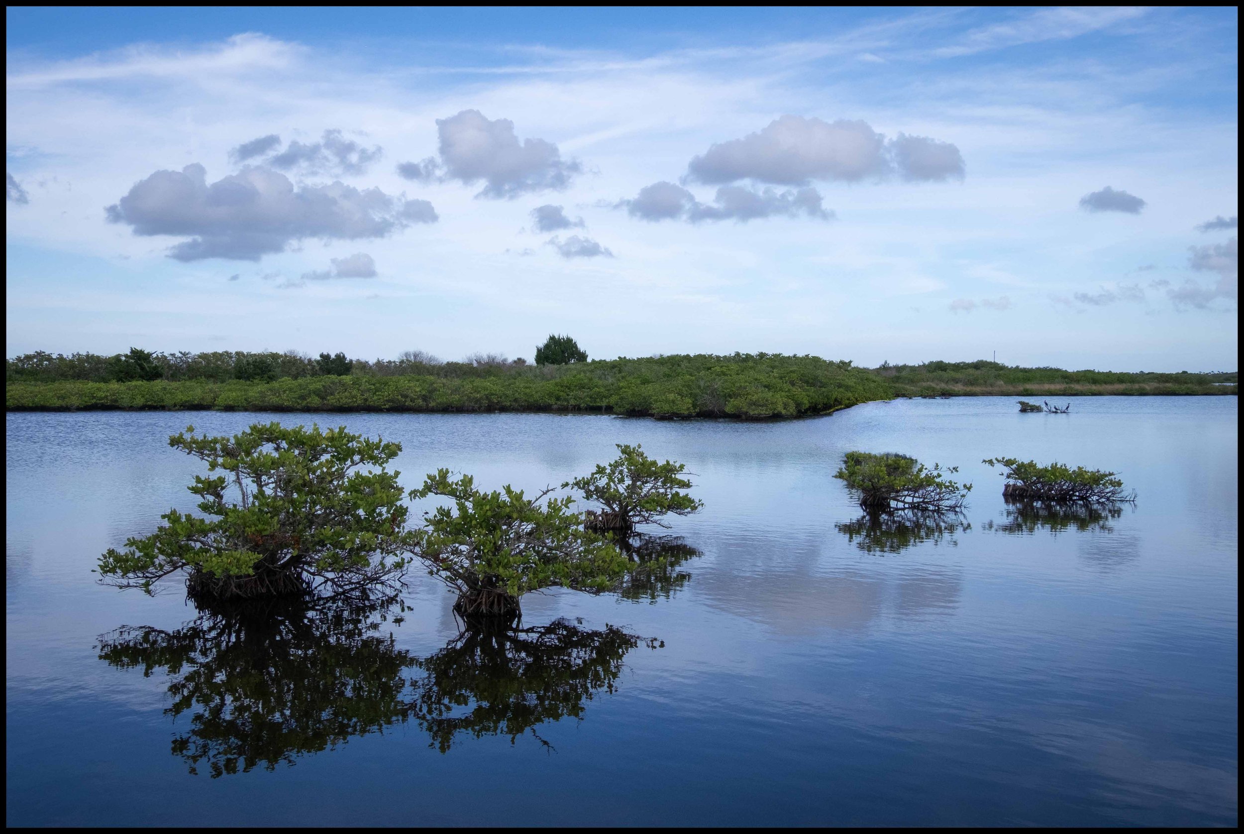 Florida, 2015
