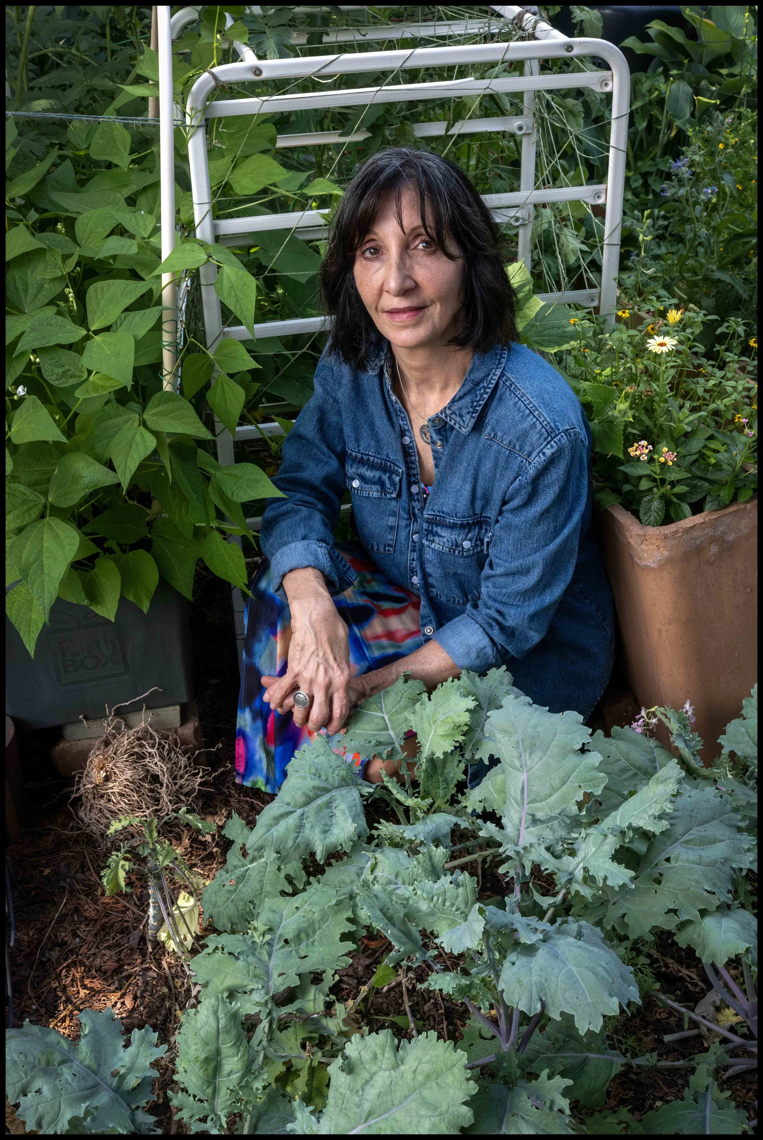 Peggi Habets, July 2026