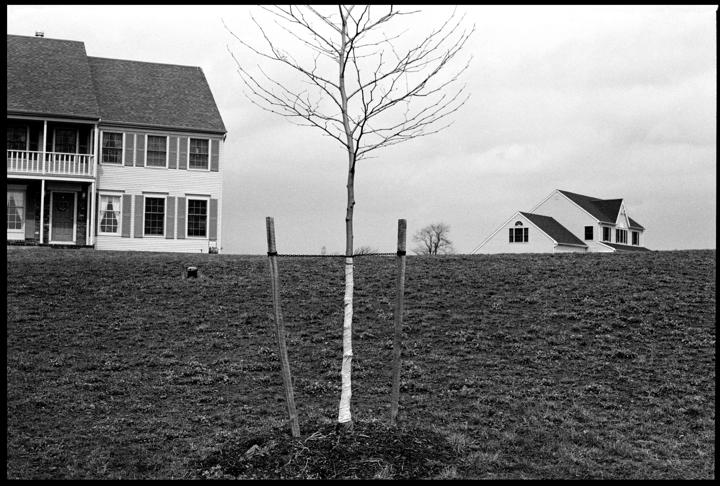 New Jersey, 1987
