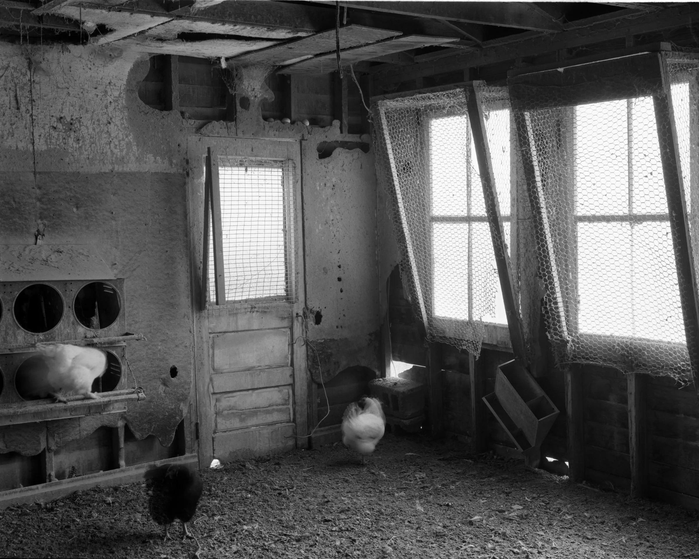 Chicken-Coop.jpg