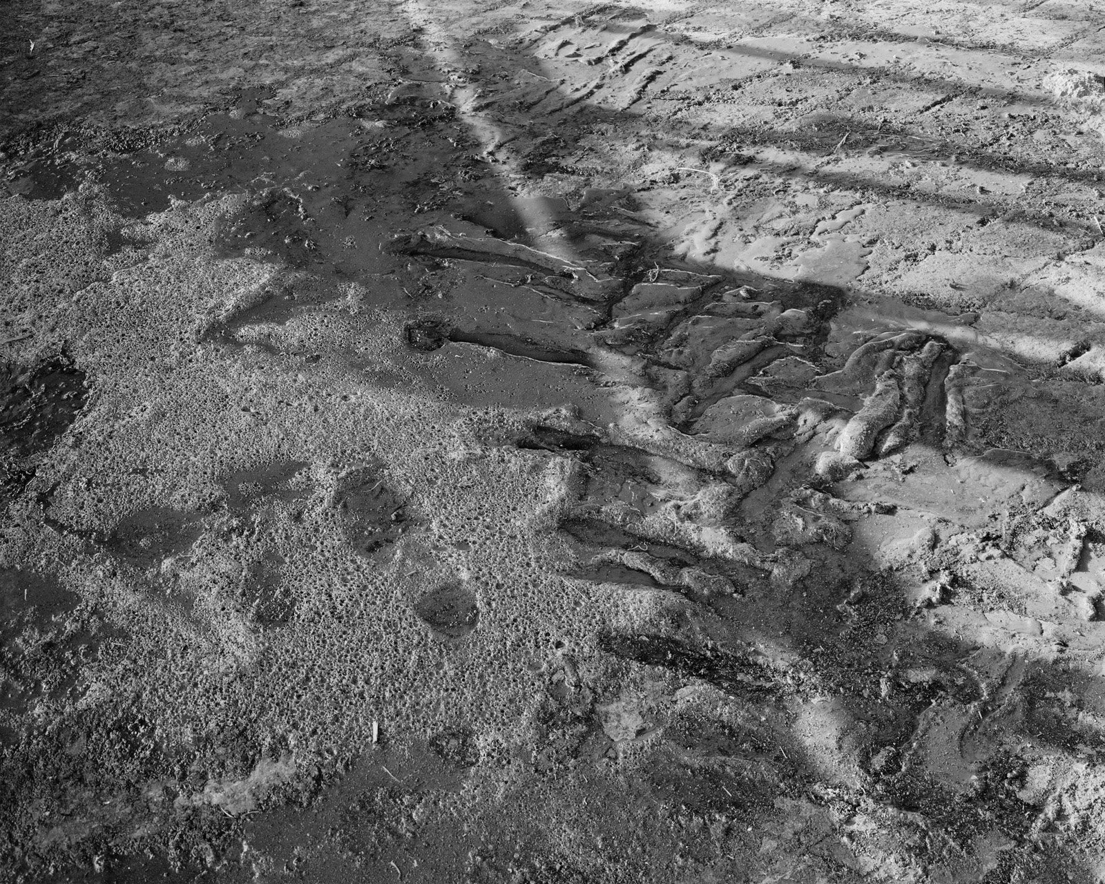 Kosky_footprints.jpg