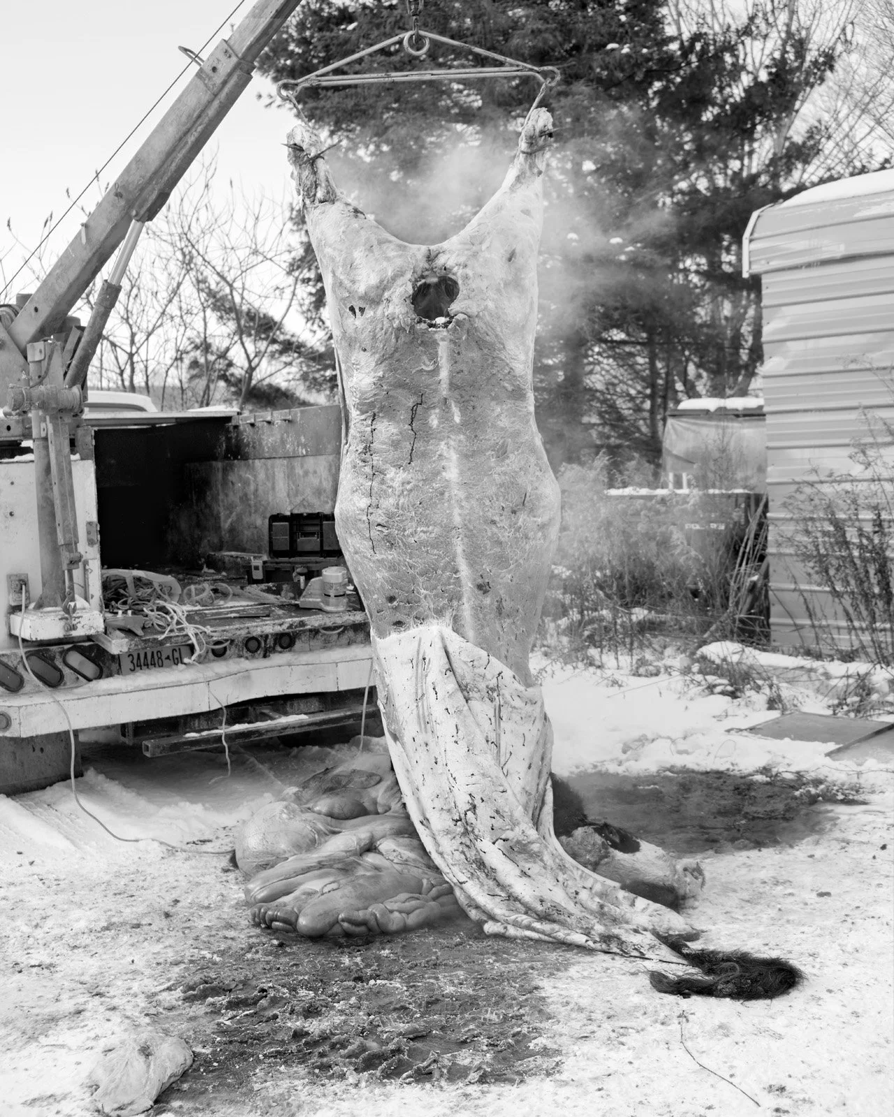 Kosky_smokingbody.jpg