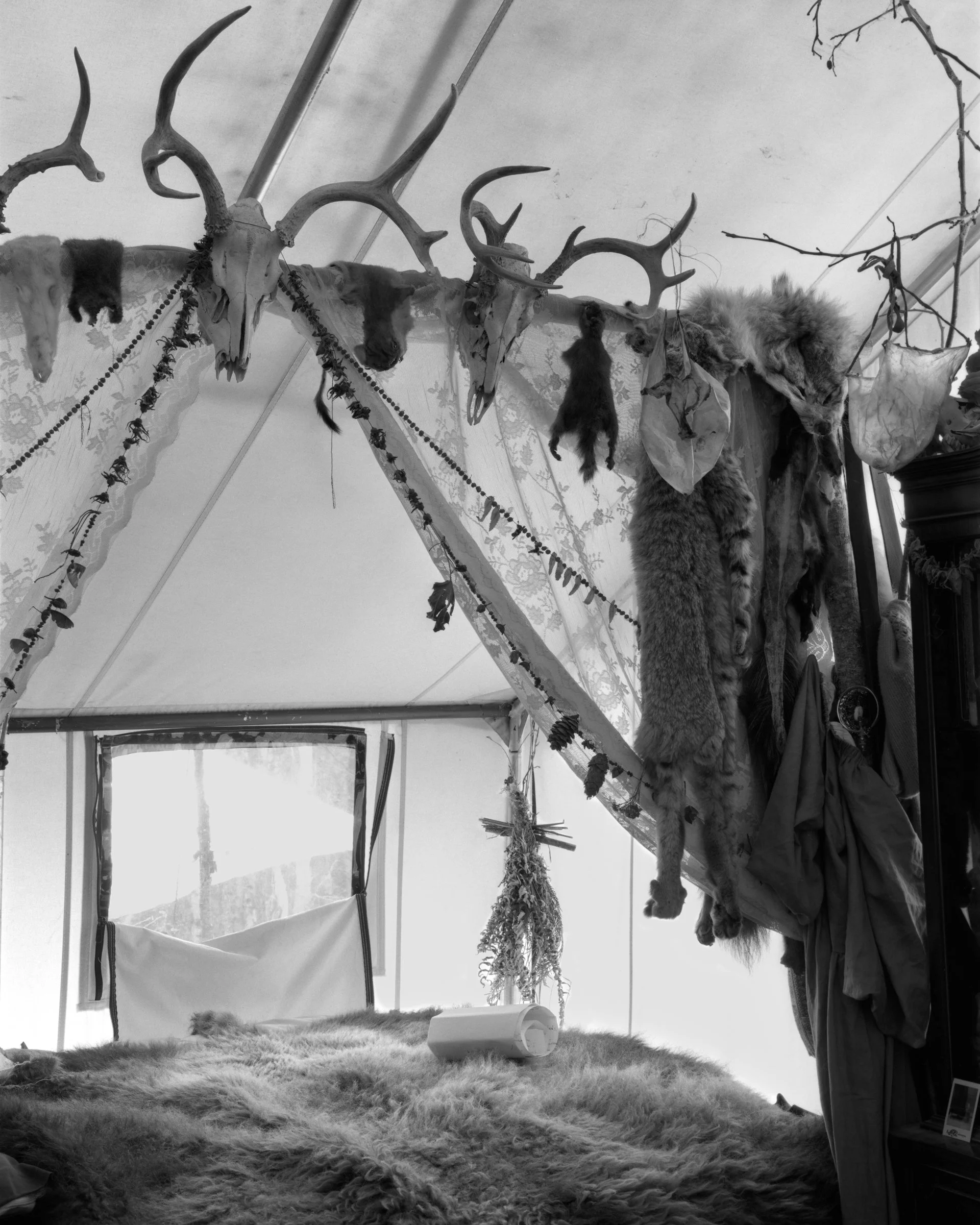 Inside-Tent.jpg