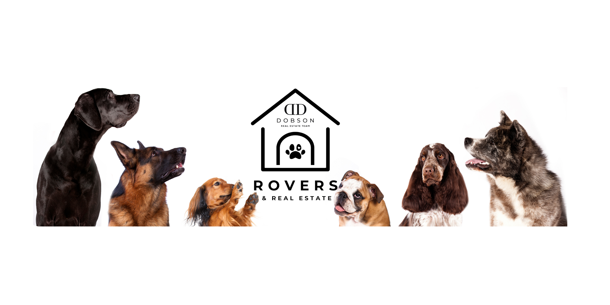 Rovers & Real Estate 2024 — Dobson Real Estate Team