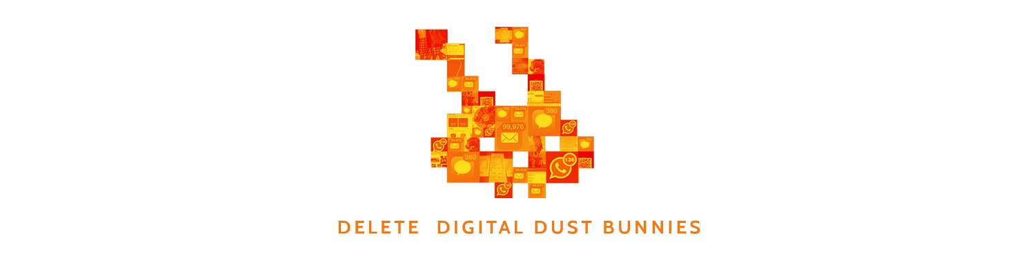 Delete Digital Dust Bunnies