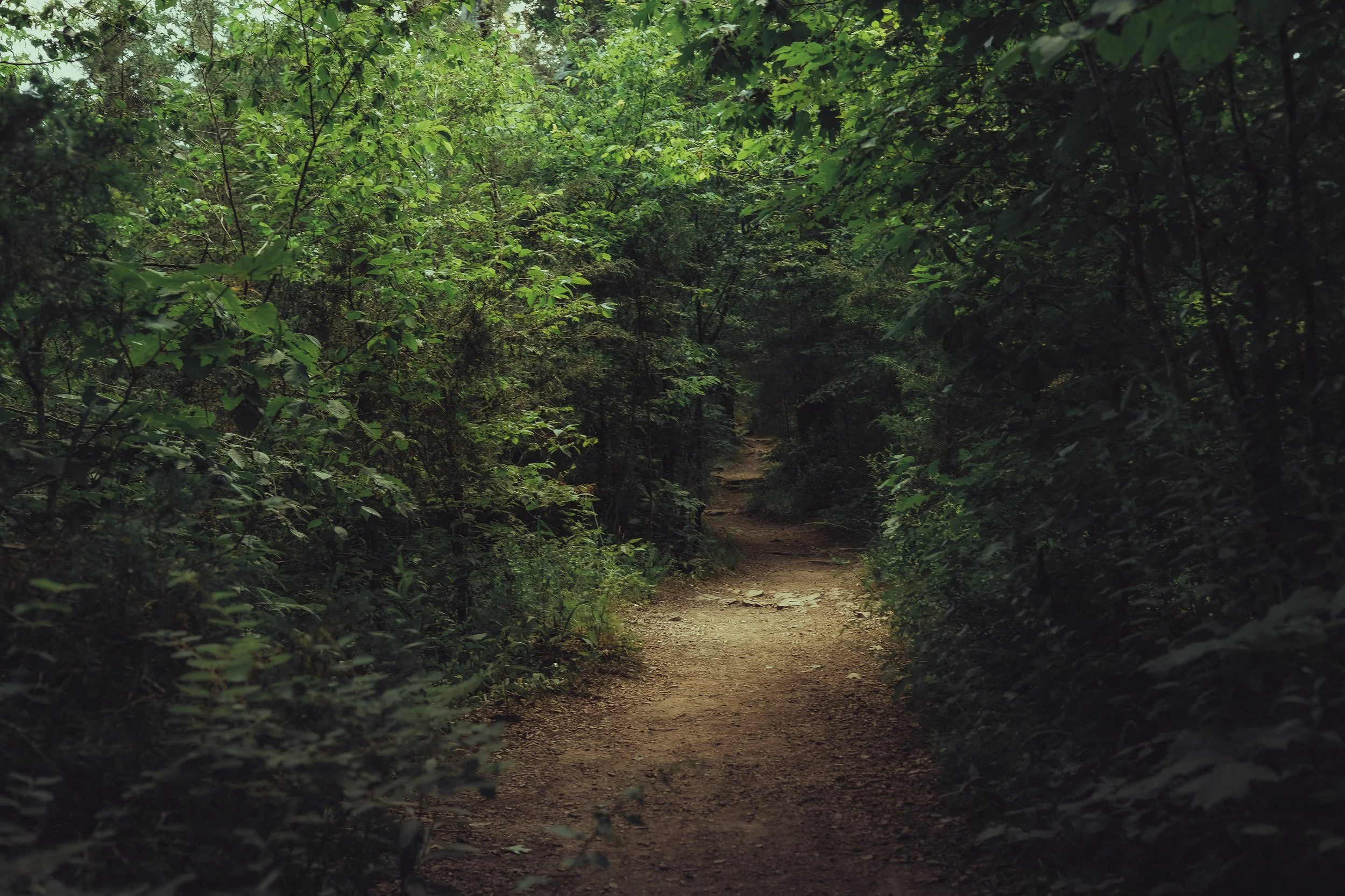 DSCF8440.JPG