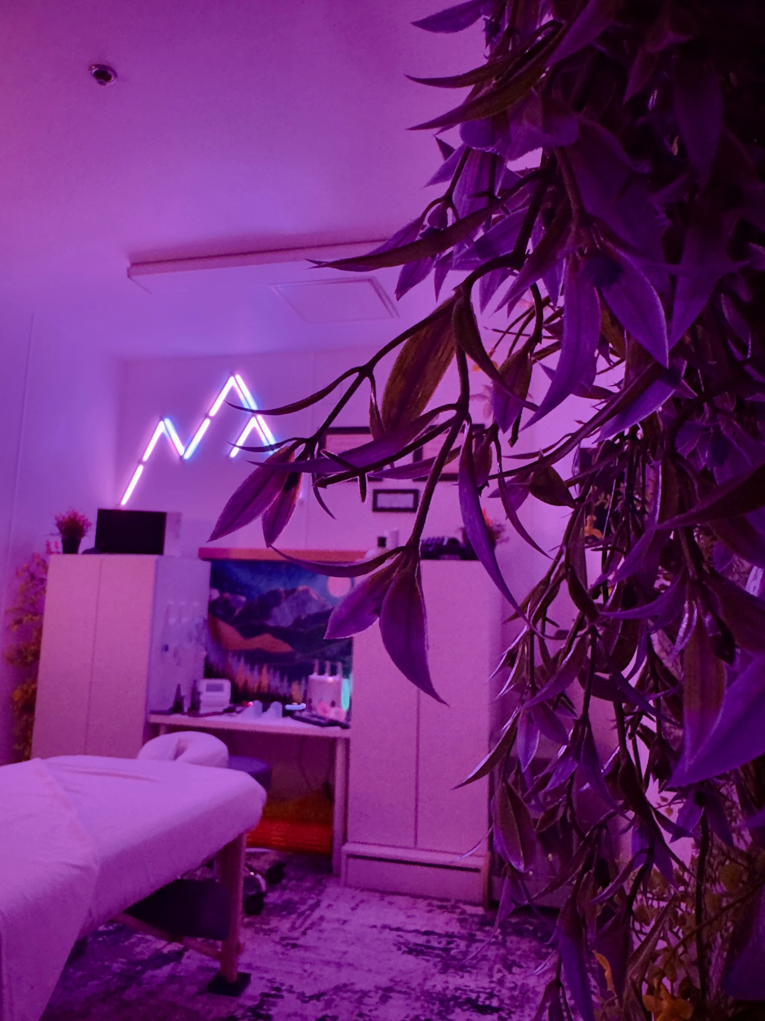 Indoor room decorated with purple and blue neon lights, plants, a massage table, cabinet, and wall art.
