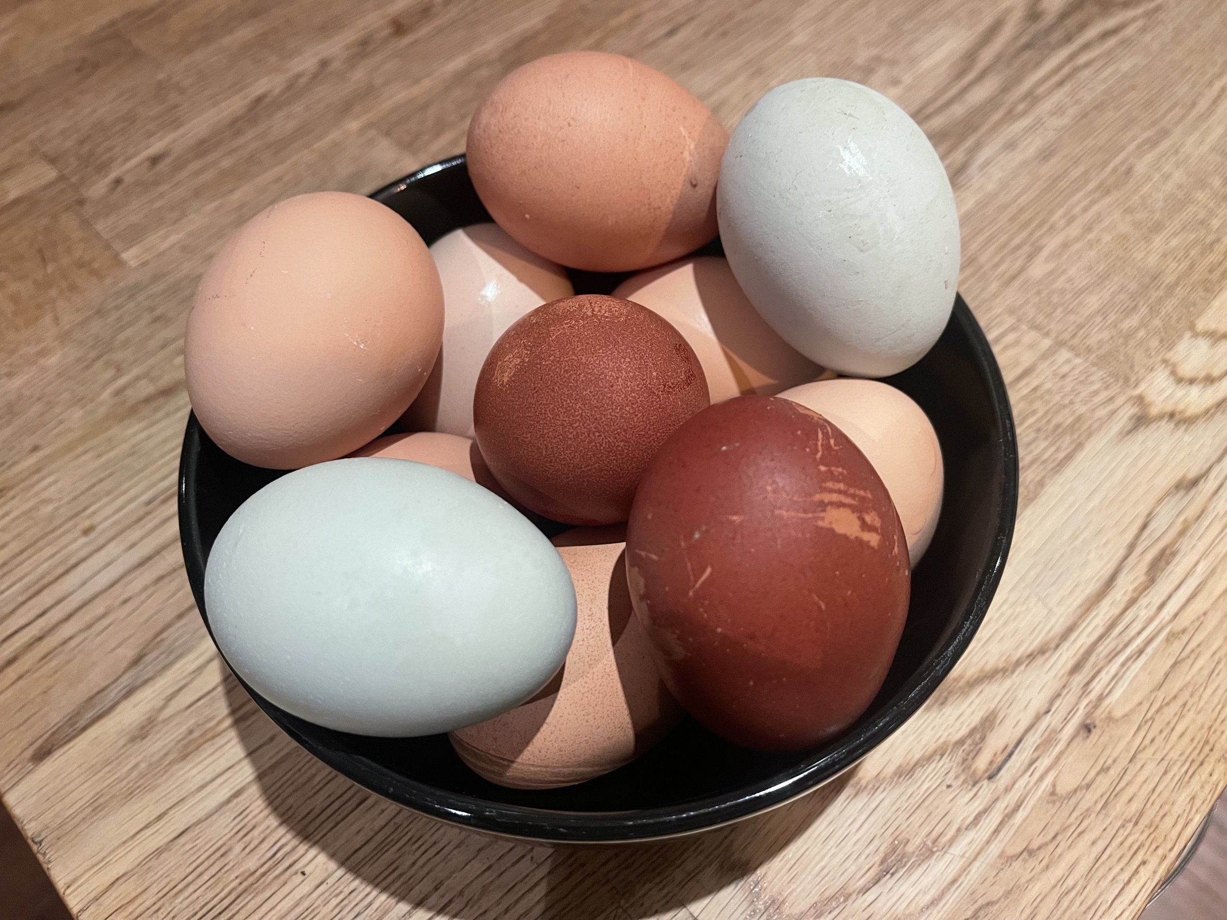 Eggs.jpg