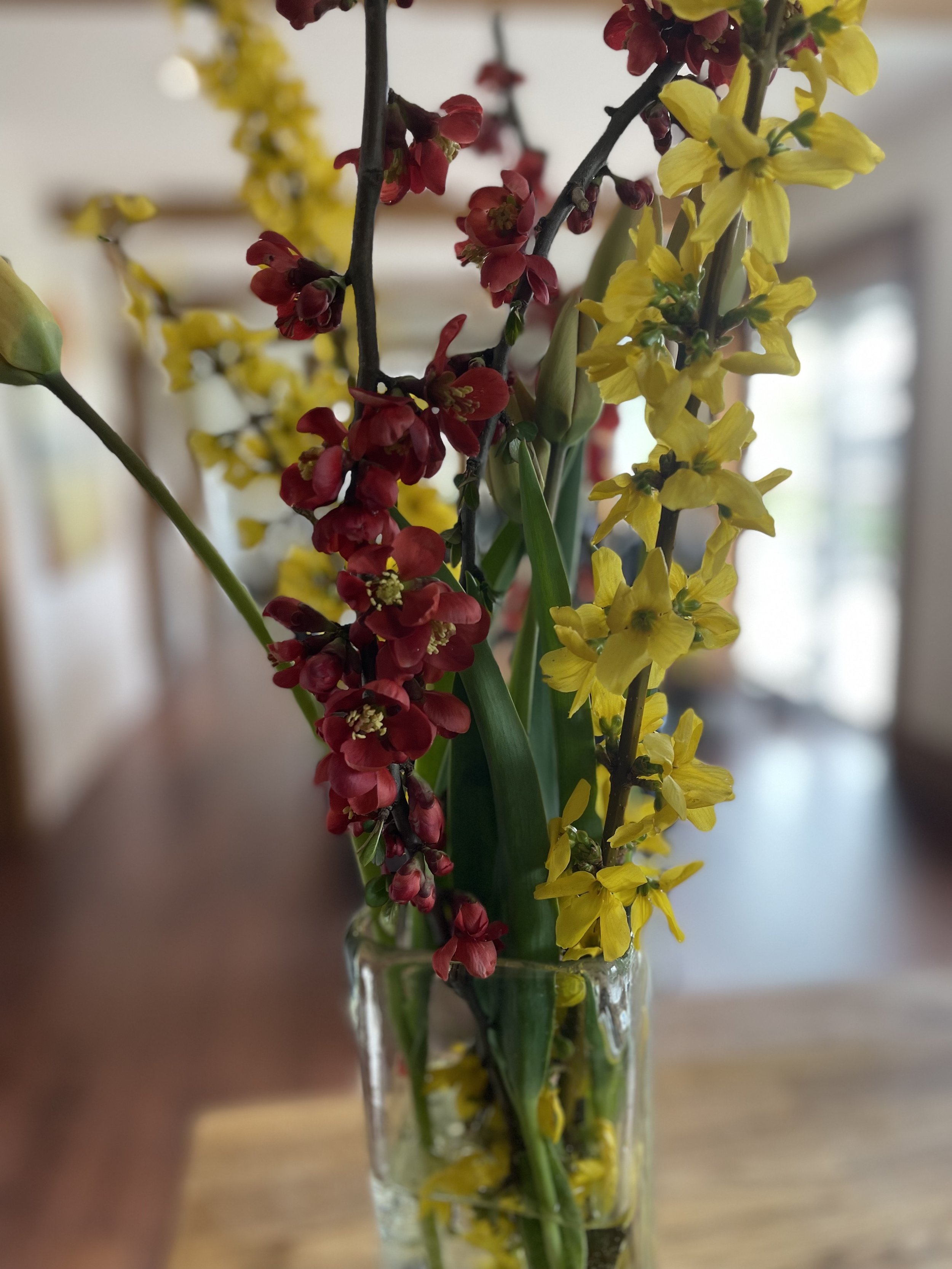 Cut flowers.jpg