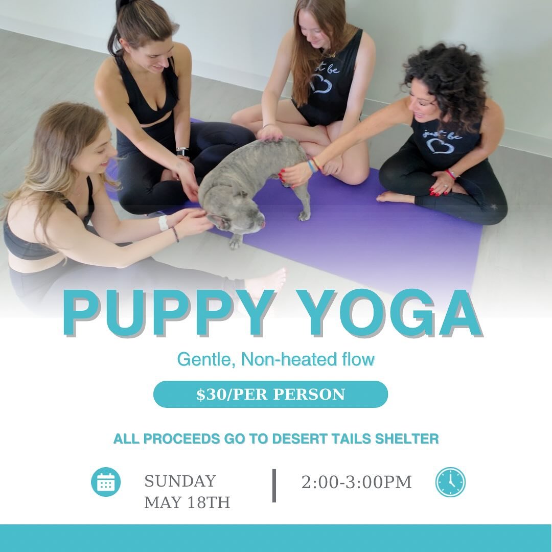 🩵🐶Just Be Yoga Event: PUPPY YOGA🐶🩵
Coming Sunday May 18th! JBY is teaming up with the amazing @deserttails once again to bring Puppy Yoga to Scottsdale. 🐶
$30 per-person, the class will be a non-heated gentle flow. ALL PUPPIES WILL BE AVAILABL