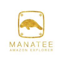 download.png