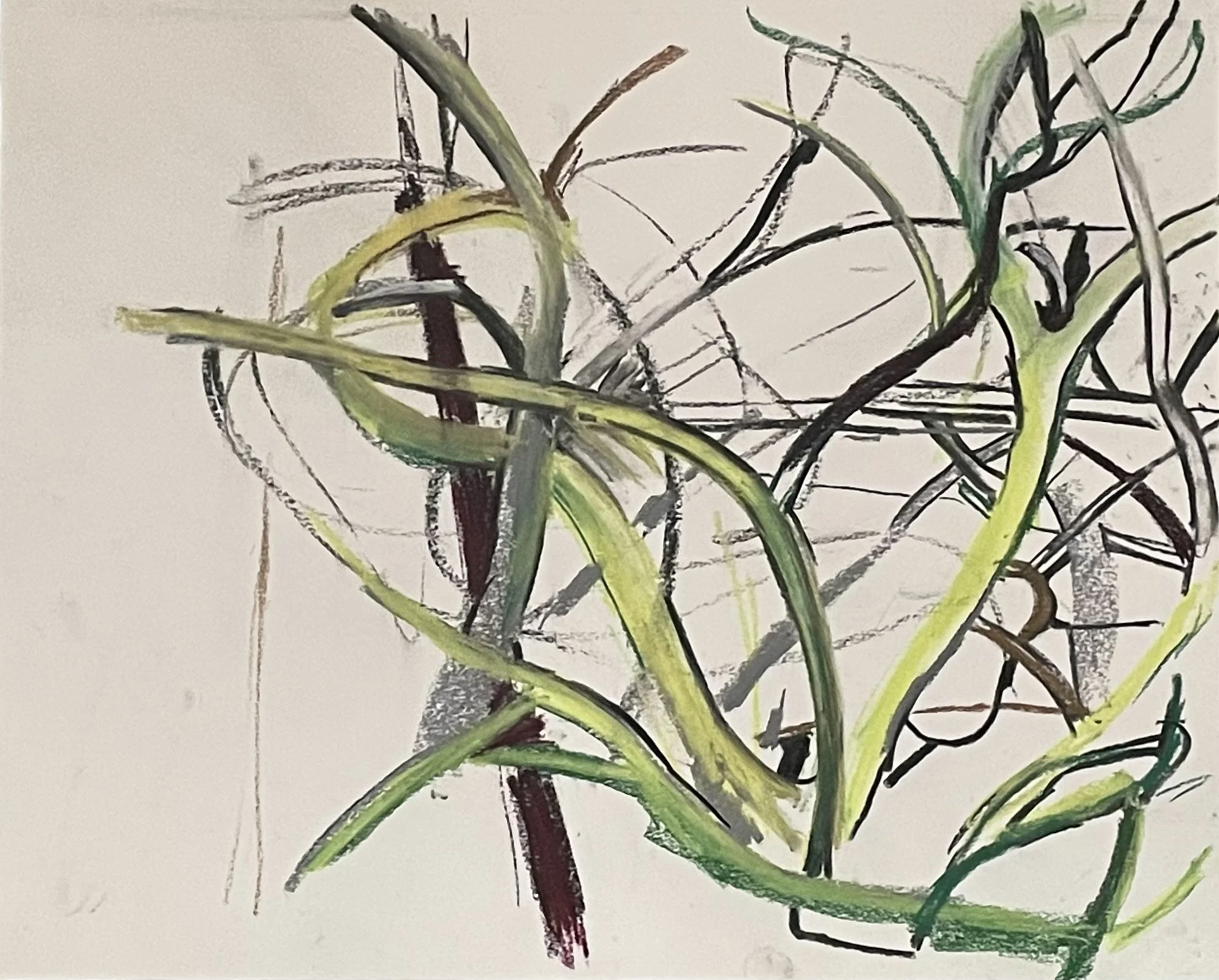 2024 Tree view drawing.jpg