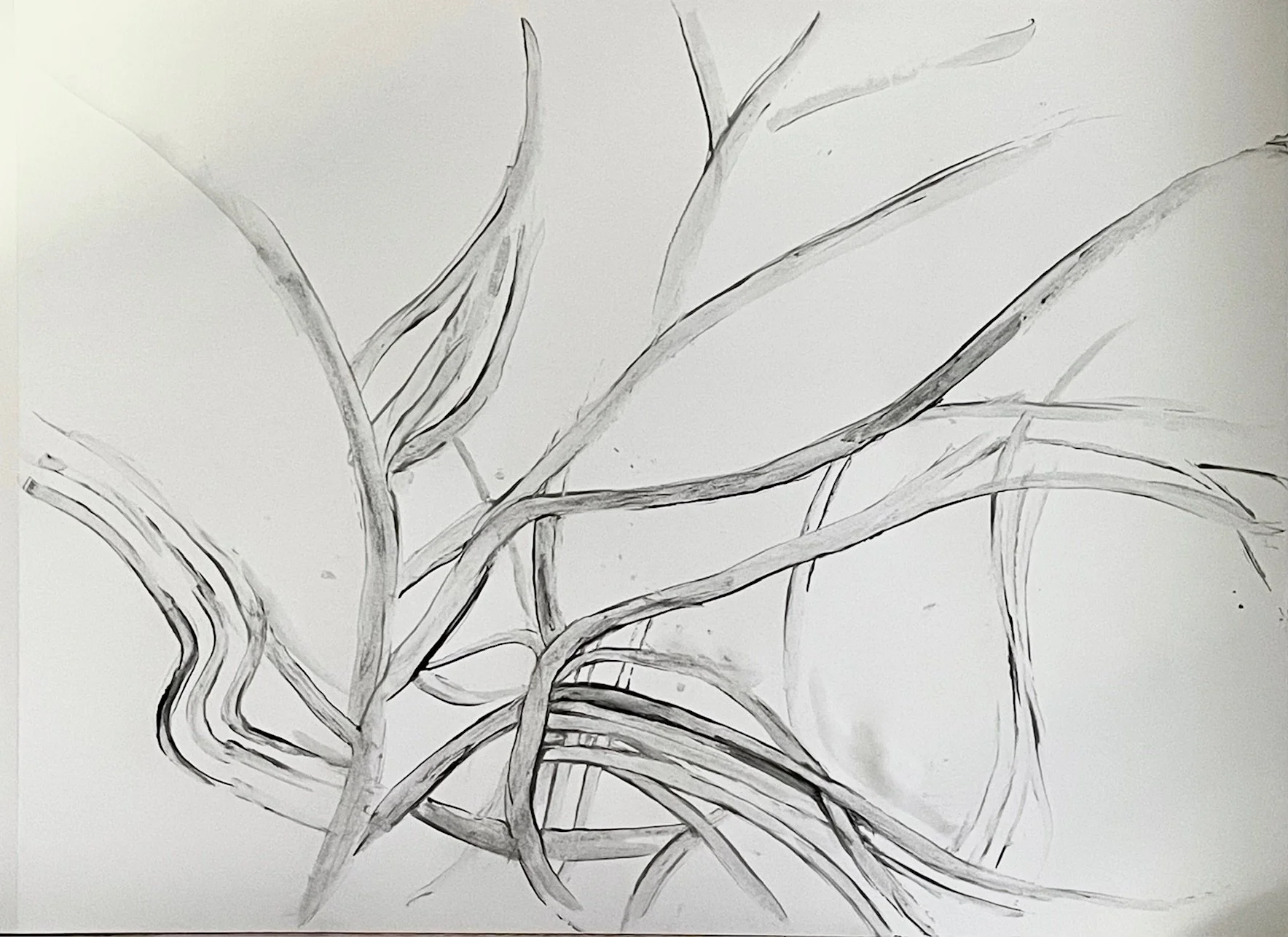 2024+Overlapping+Branches+ink+on+paper+12x16.jpg