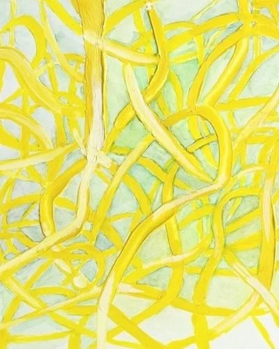 Patterns Summer 2024 1.jpg