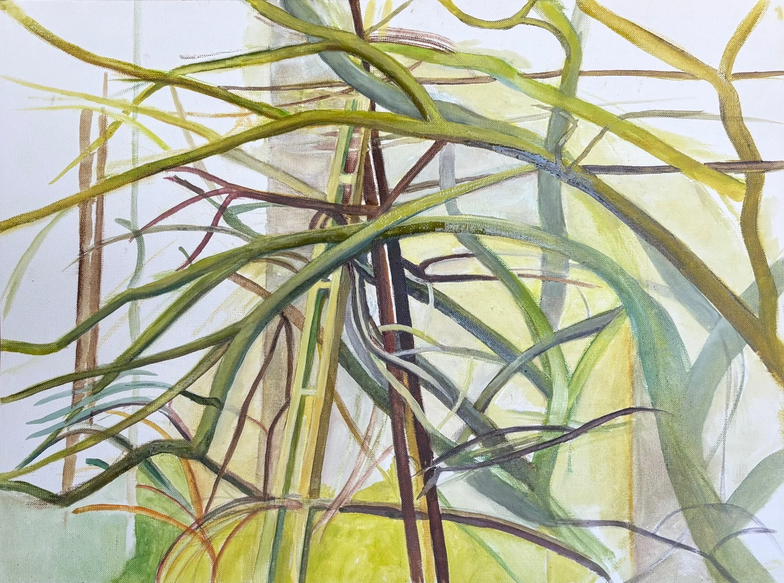 "Winter Branches Oil" 2026, Oil on Canvas, 14x19