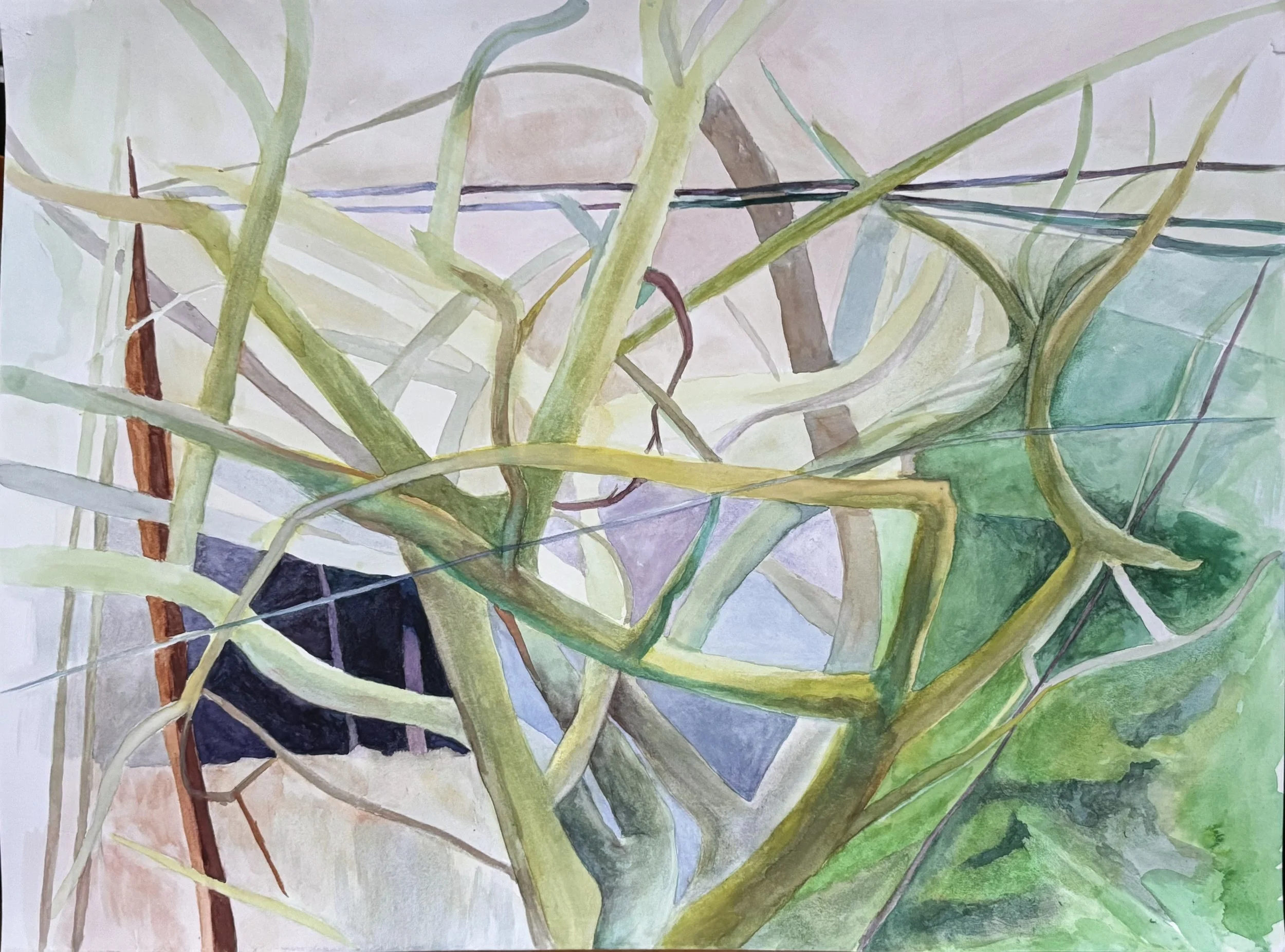 2025 Winter branches wc final.jpg