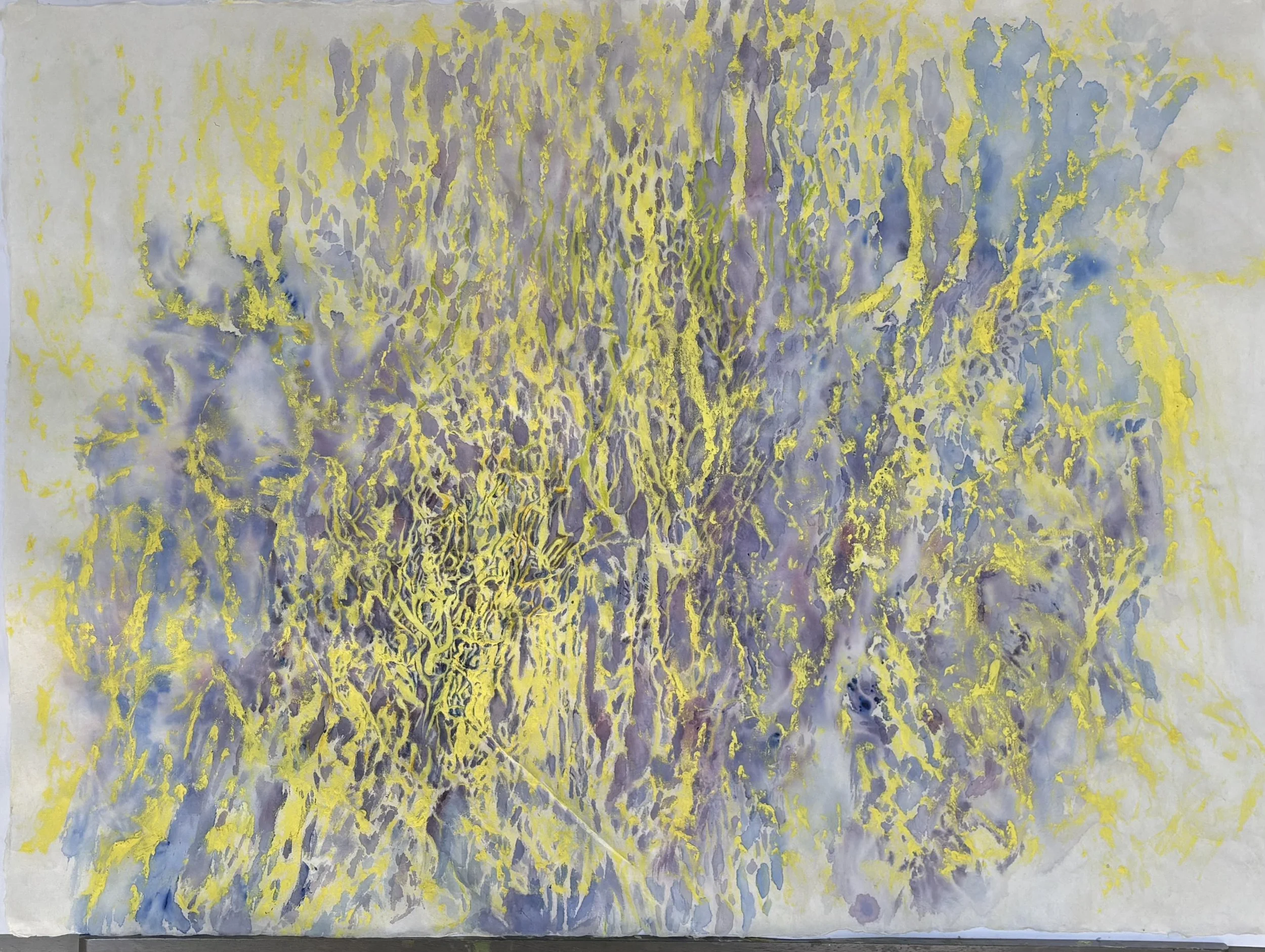 "Lightning Bark" 2026, Oil and Watercolor on Rice Paper, 25x33