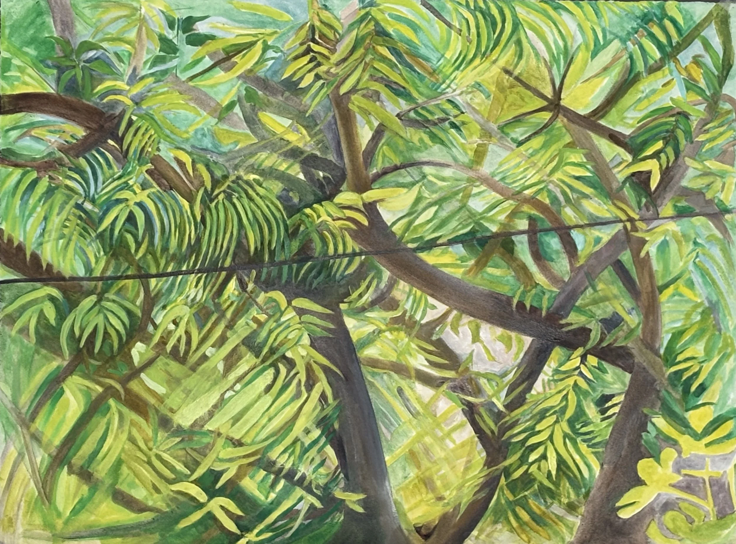2026 Summer Forest, oil 22" x 30"