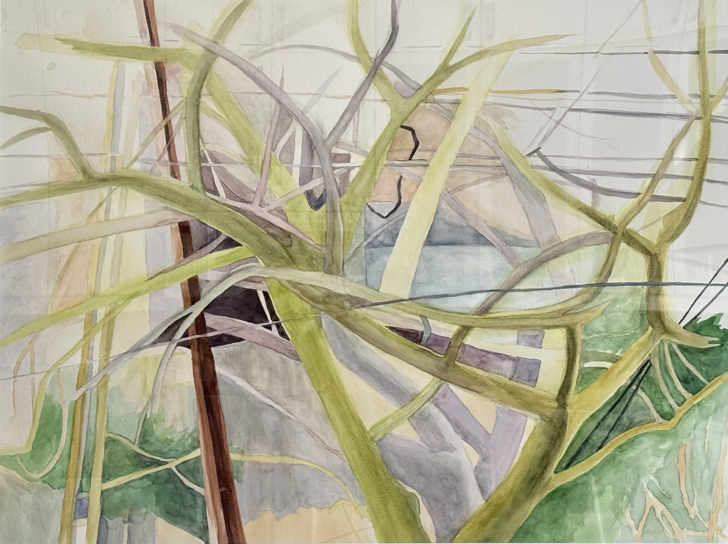 "Winter Branches 2" 2025, Watercolor on Paper, 18x24