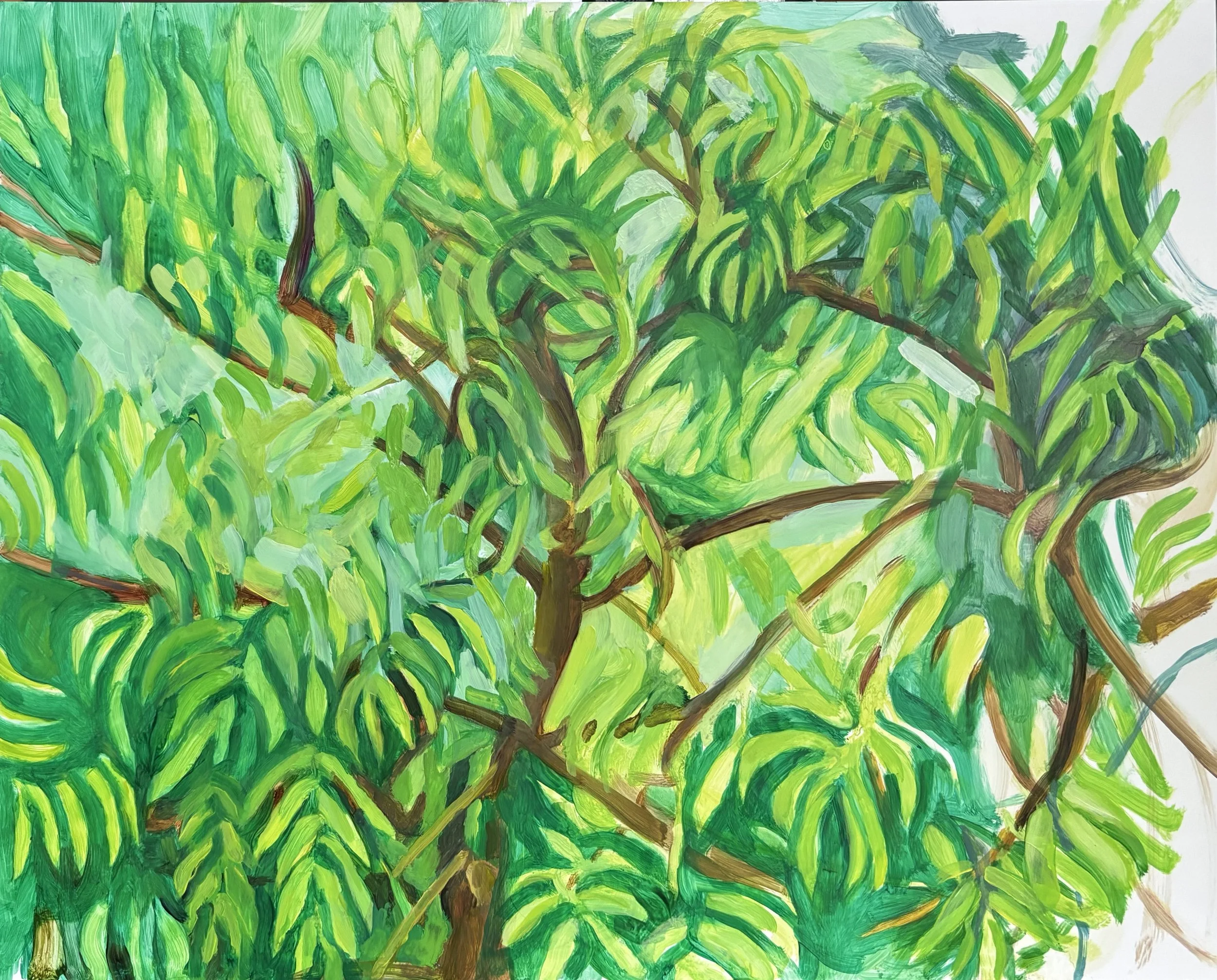 2026 trees, oil 16" x 20"