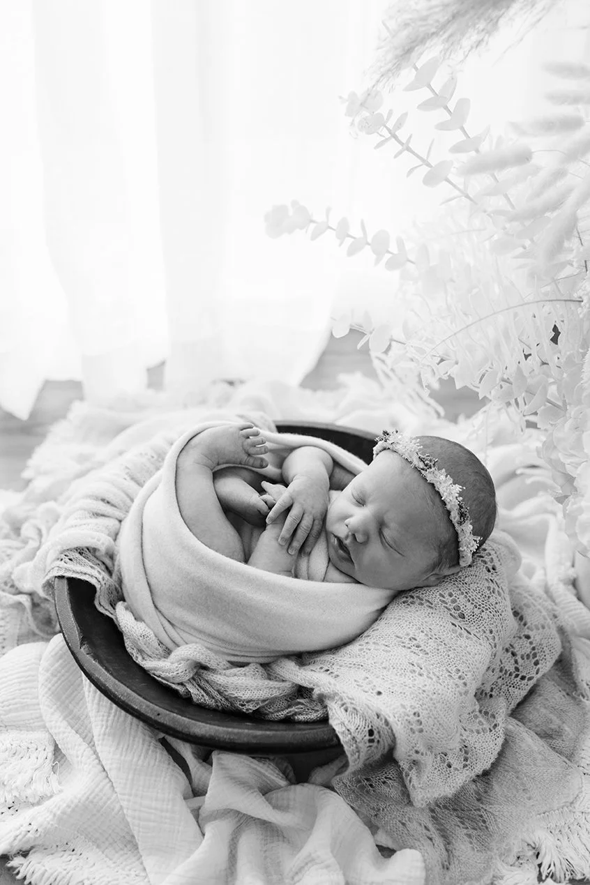 Newborn baby swaddled and sleeping in a basket during a studio photography session.