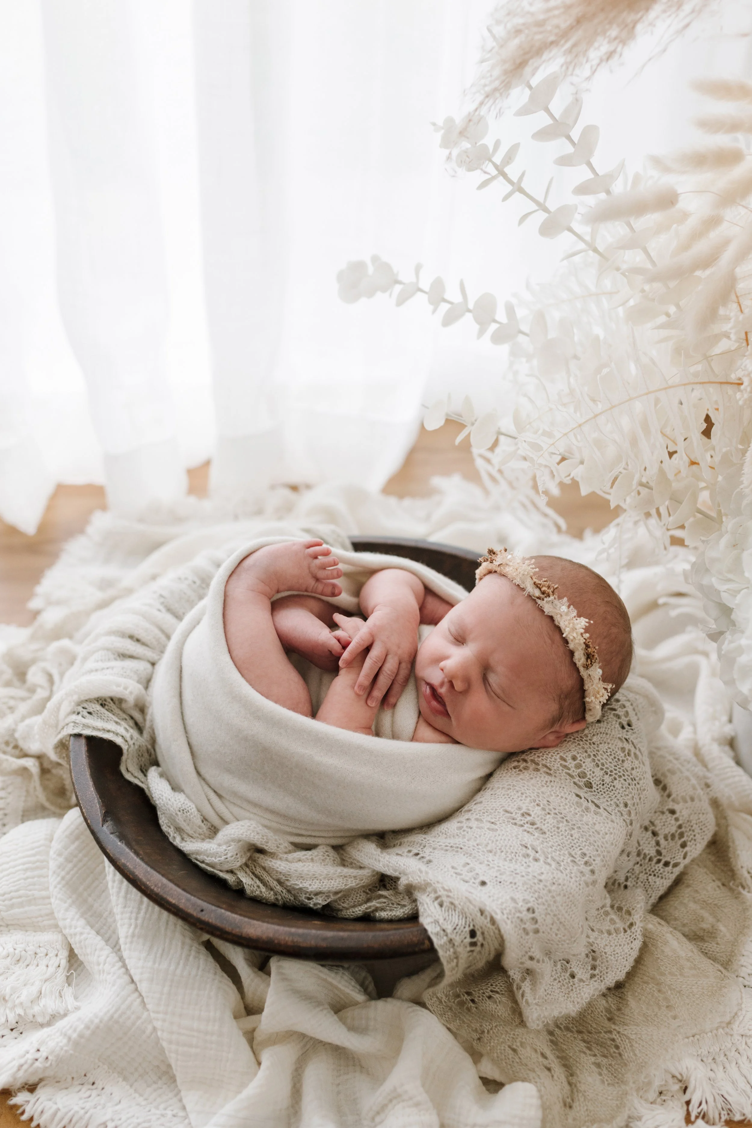 newborn photography melbourne