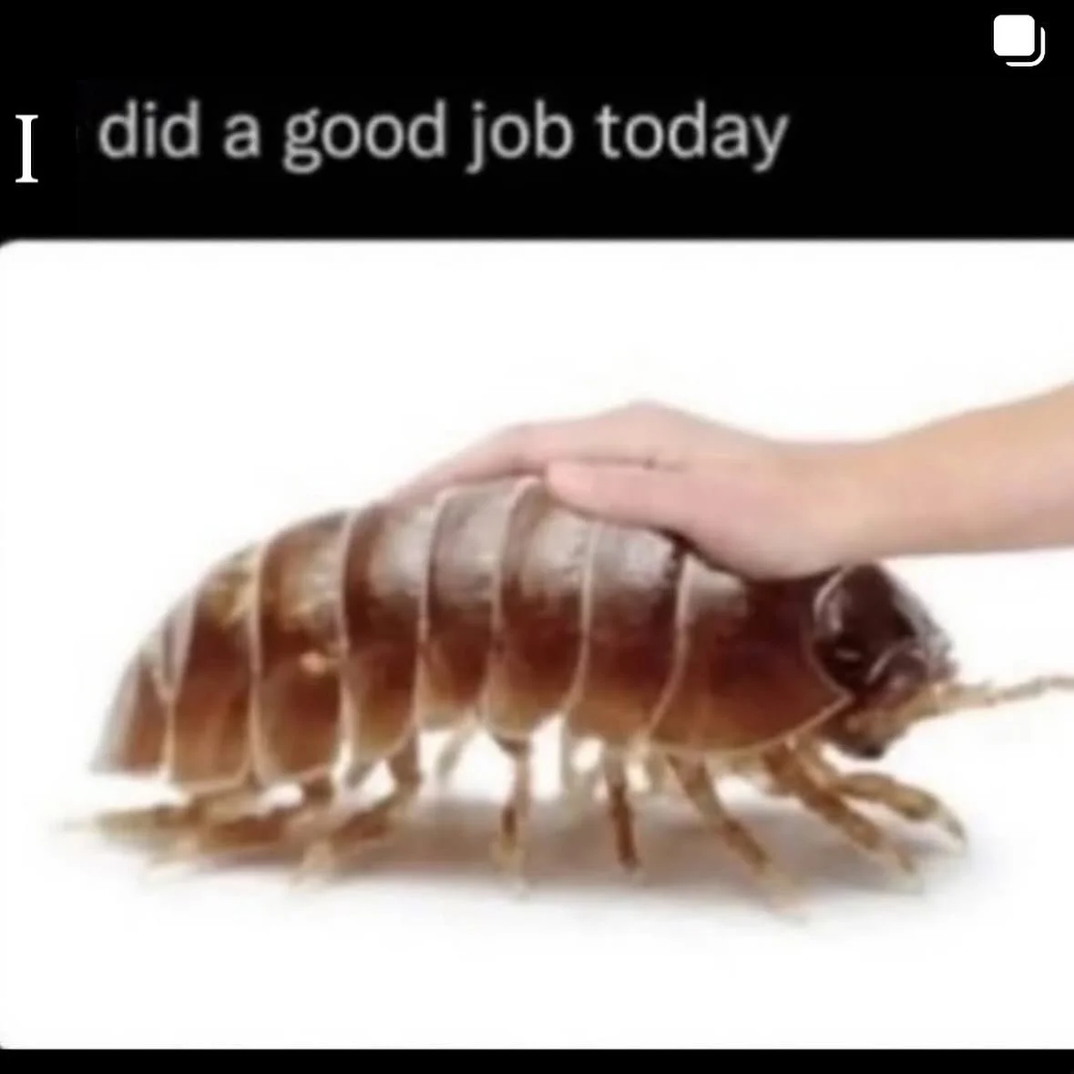 it is hot goth halloweeeeekend 🦇🖤💅🏽 what object/character/meme are you turning into a slūtty costume?? bring the fake blood &amp; see you hotties at the parties