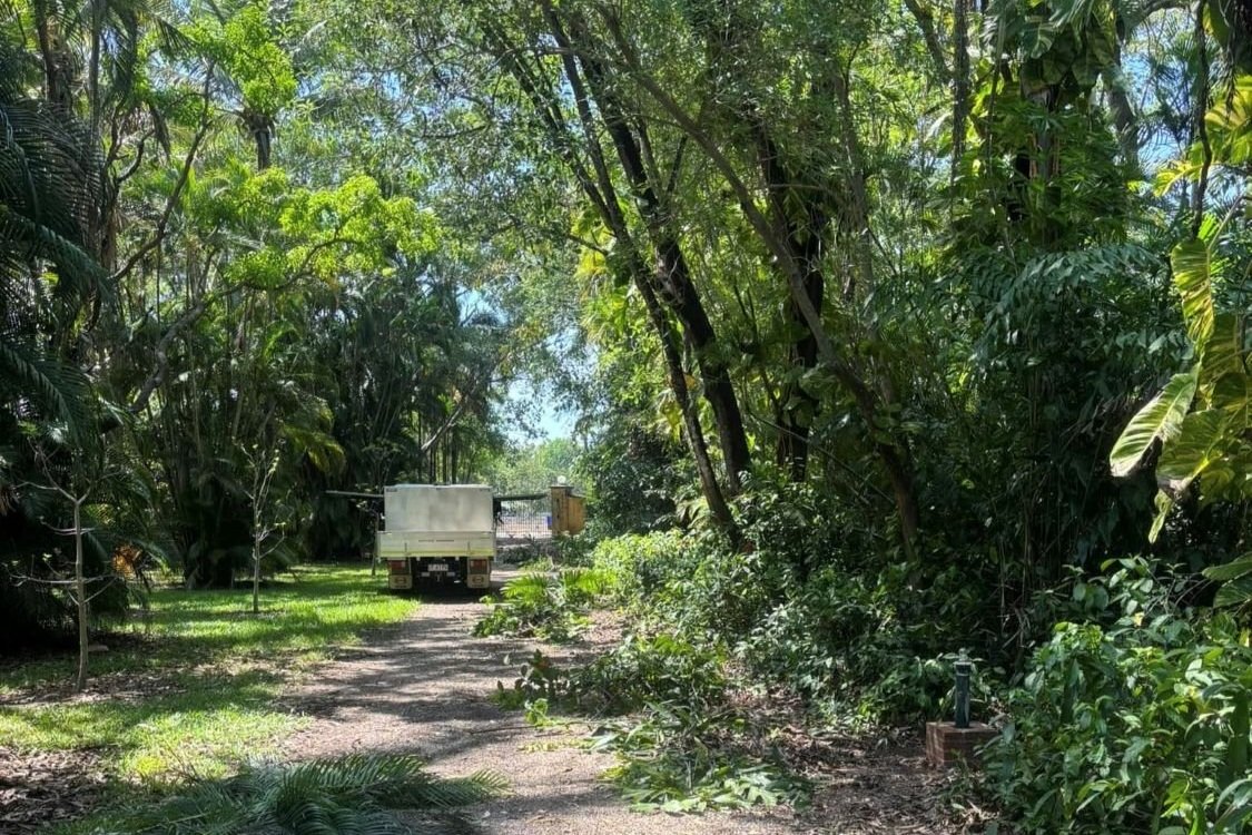Top 5 Signs Your Garden Needs Professional Hedging and Pruning Services