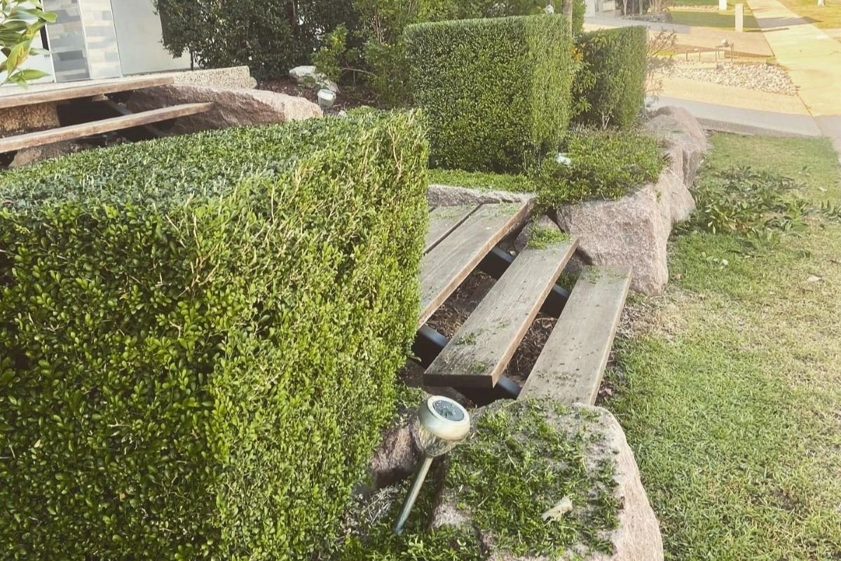 Essential garden clean-ups in Darwin & Humpty Doo