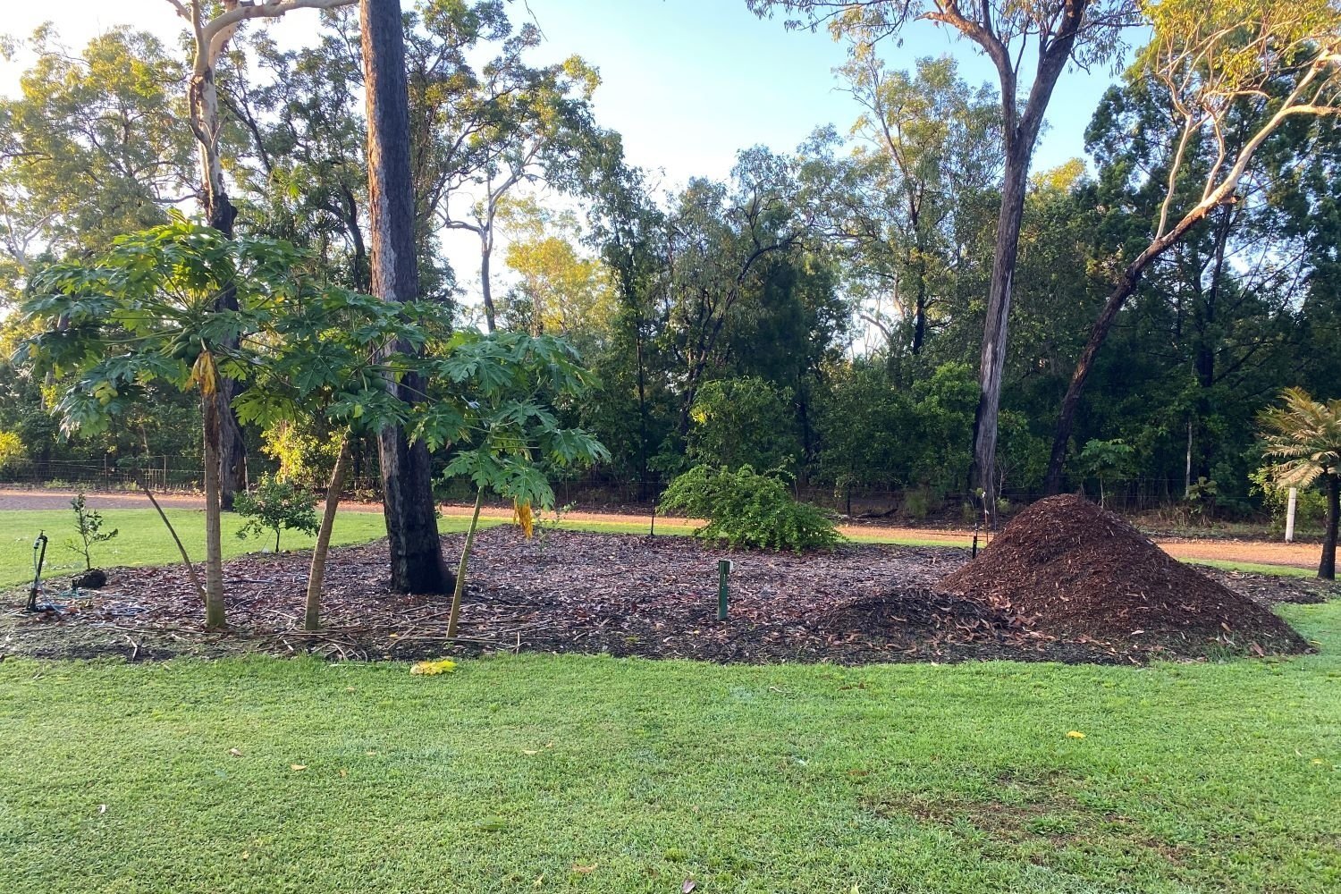 Mulching and Re-Mulching Services for a Healthier Garden