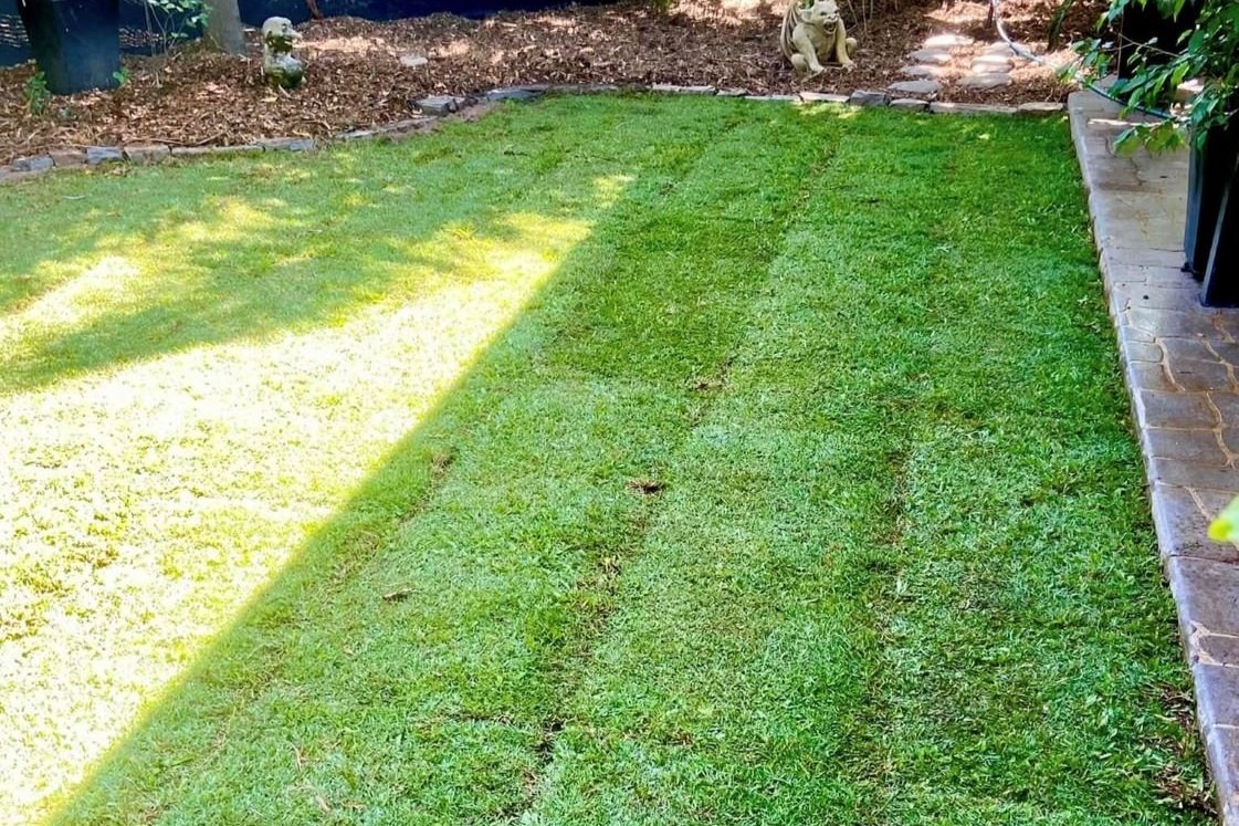 Lawn Greeners: Apply Magic to Your Lawn