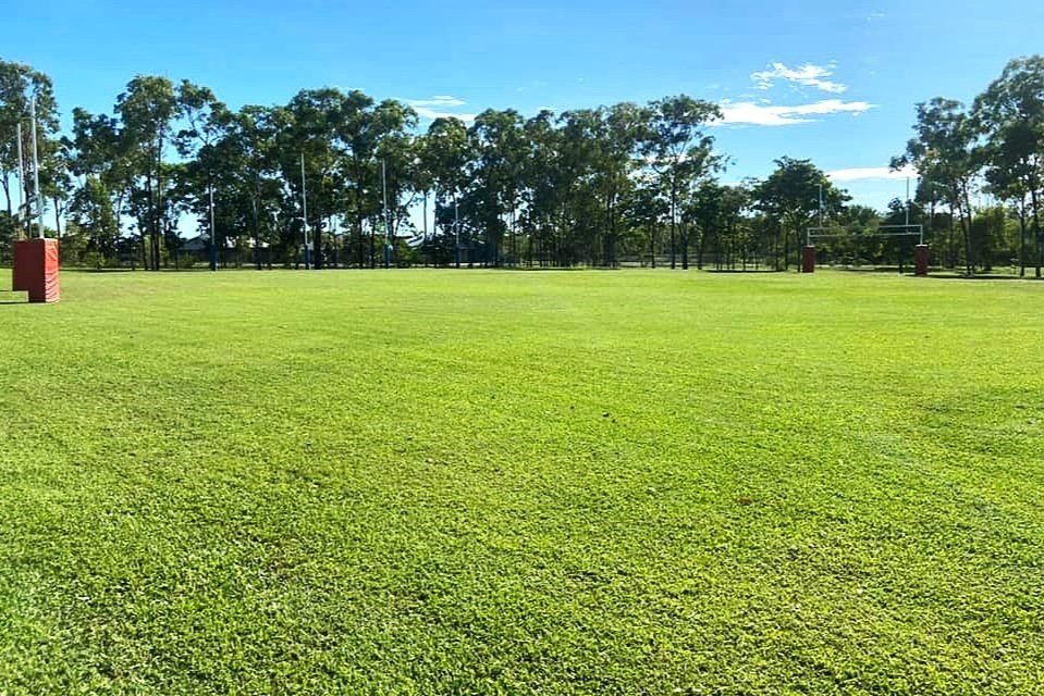 Advanced Mowing Techniques to Create Outstanding Lawns