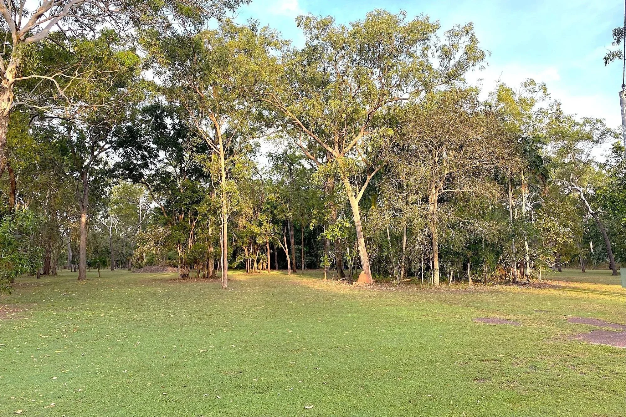 Why Would You Use a Wetting Agent on Your Lawn in the Wet Season in Darwin?