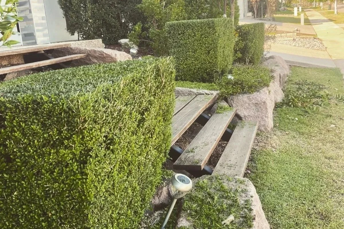 2026 Outlook: Grounds &amp; Garden Maintenance for Darwin