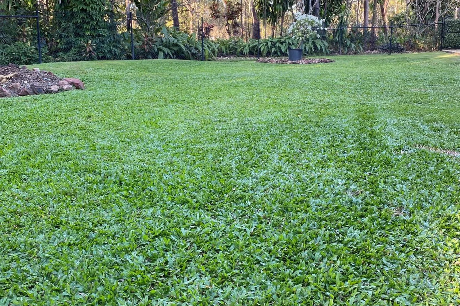 Back to the Future: UV-C Light in Turf Management