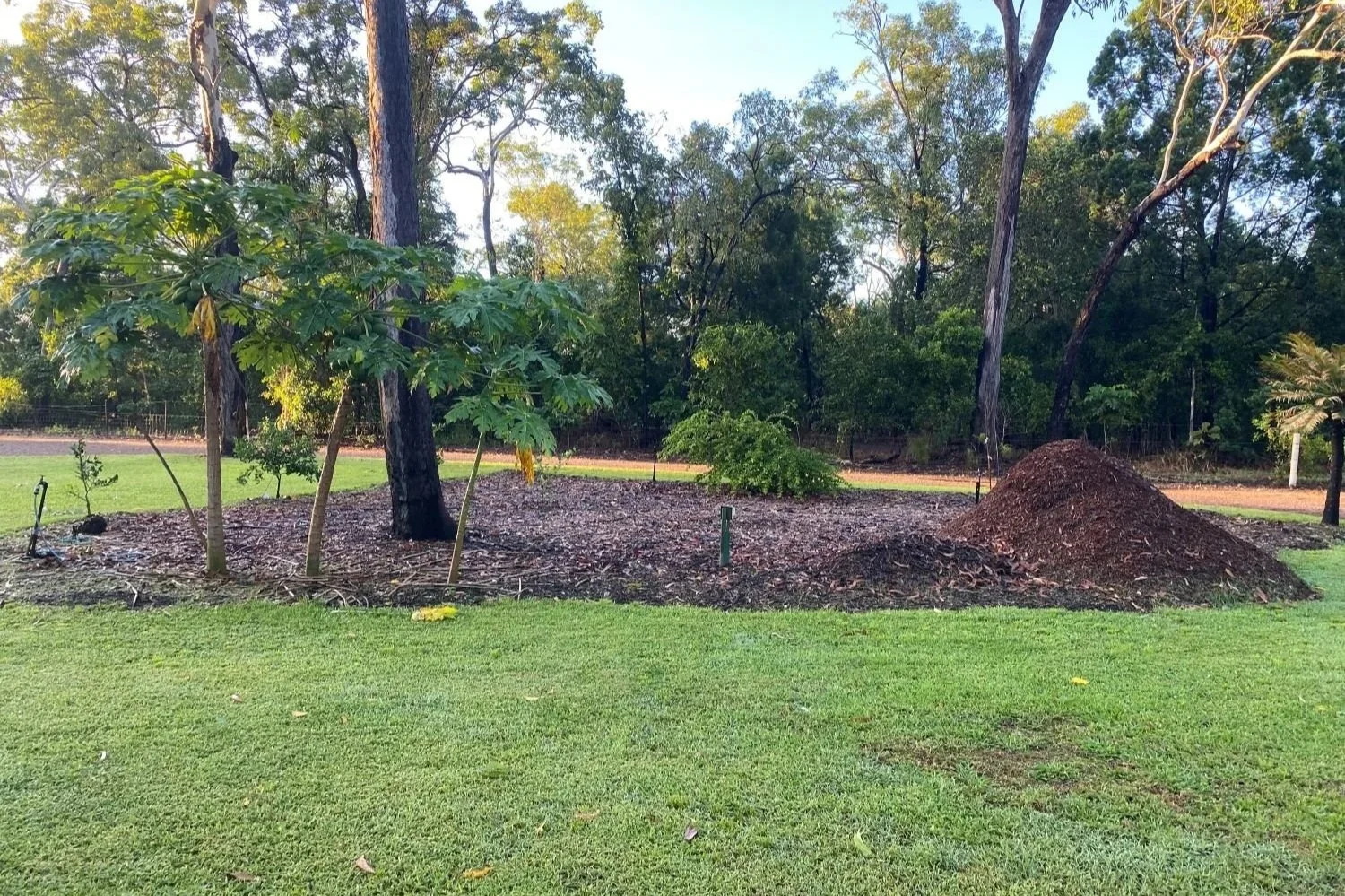 It Matters: Soil and Organic Matter in Darwin