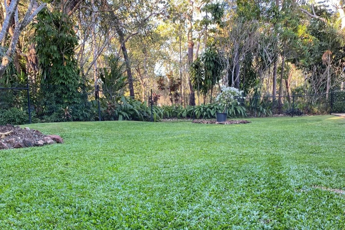 How to Help Your Lawn and Soil Recover from a Long and Heavy Wet Season in Darwin
