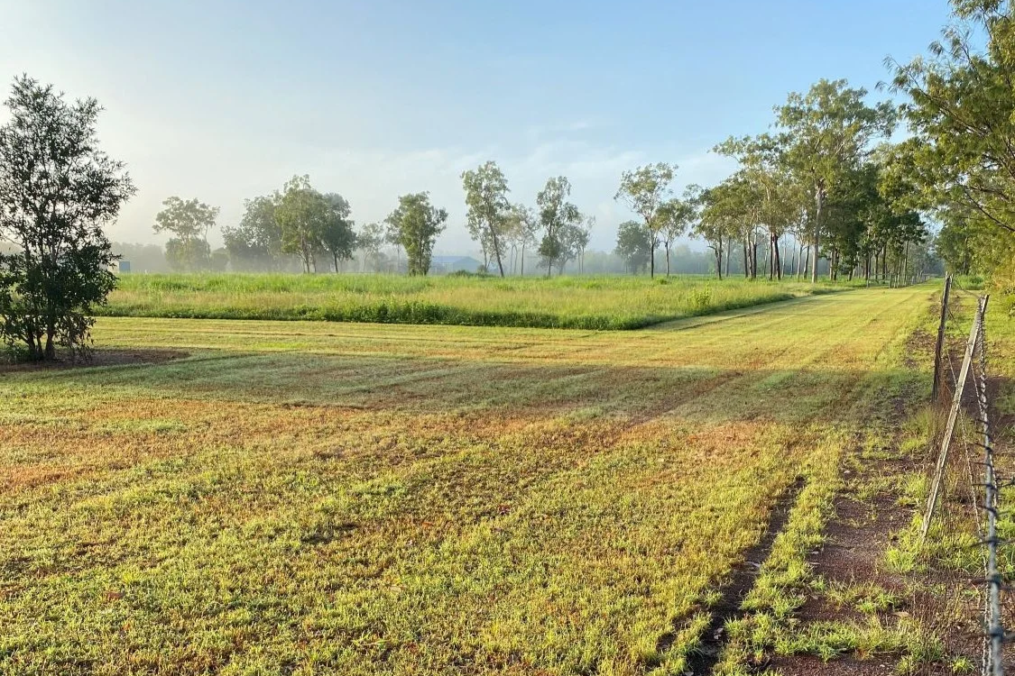 Adventurous Garden Styles in Darwin: Transforming the Top End with Creativity and Care