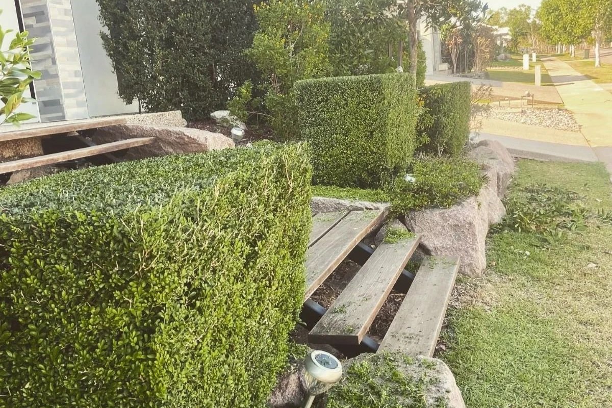 Boost Your Home's Value with These Landscaping Tips for Darwin Properties