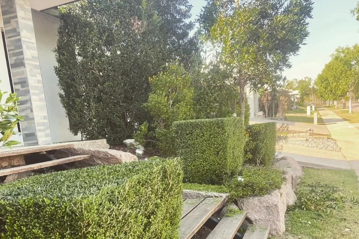 What Can AI Teach You About Gardening in Darwin – And What Not