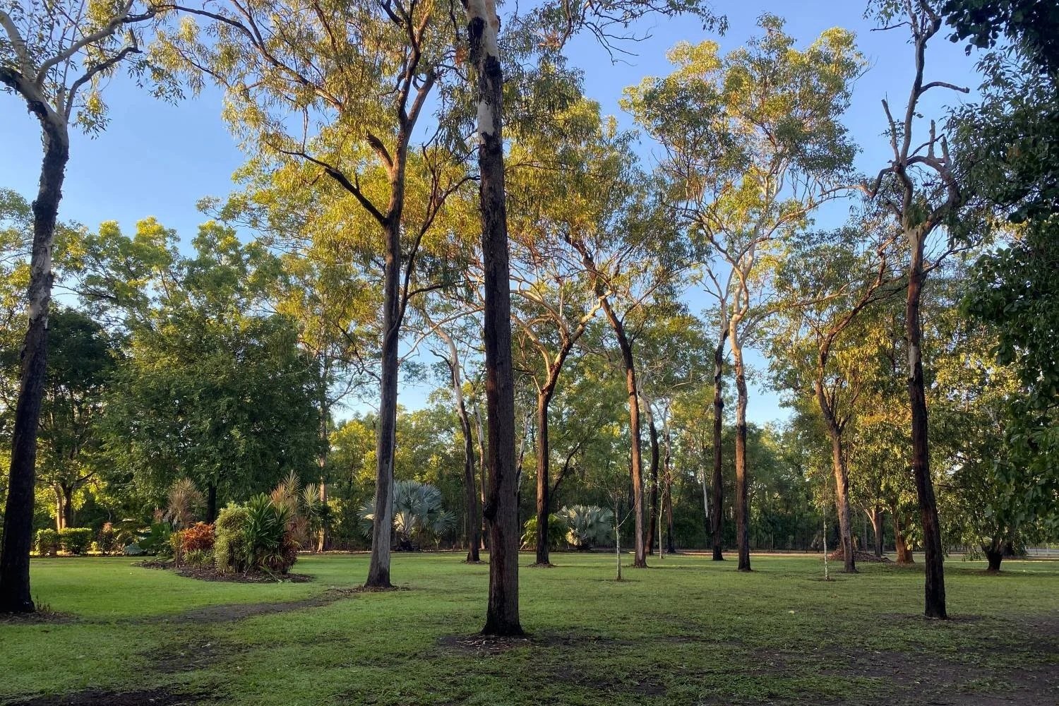 Why Bunnings Products Aren’t Always the Best Solution for Your Garden in Darwin