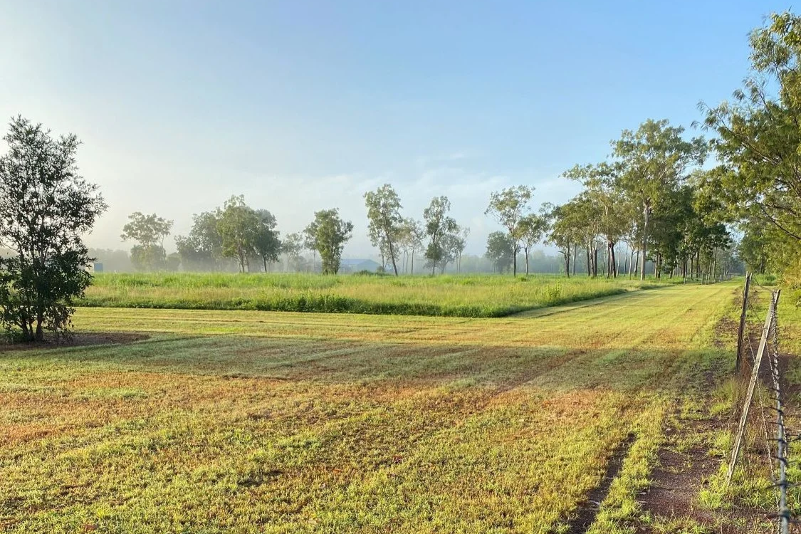 What Years of Maintaining Large Properties Across the Top End Have Taught Us