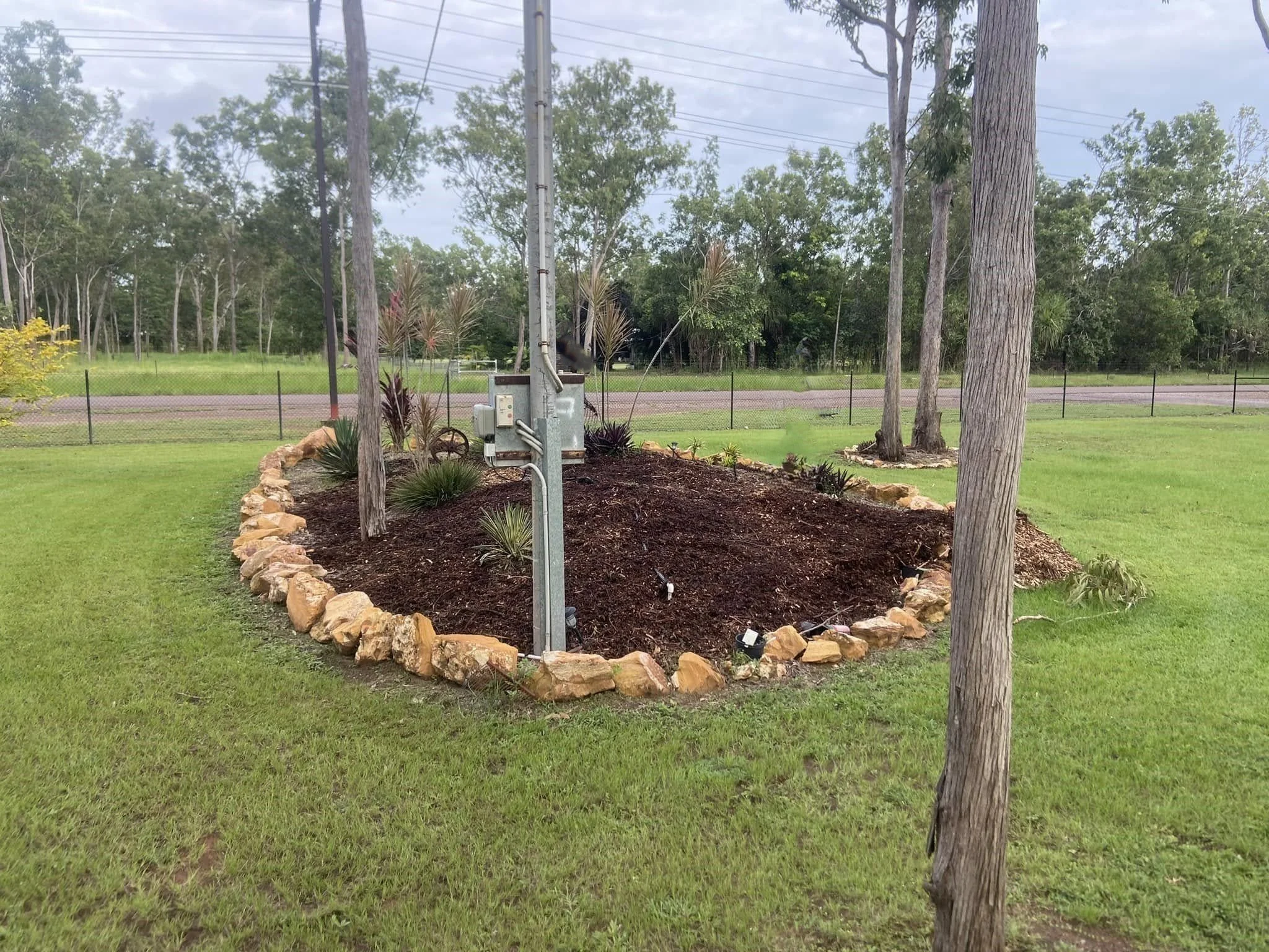 Protect Your Lawn in the Build-Up Season in Darwin: Stop Weeds and Pests Before They Take Hold