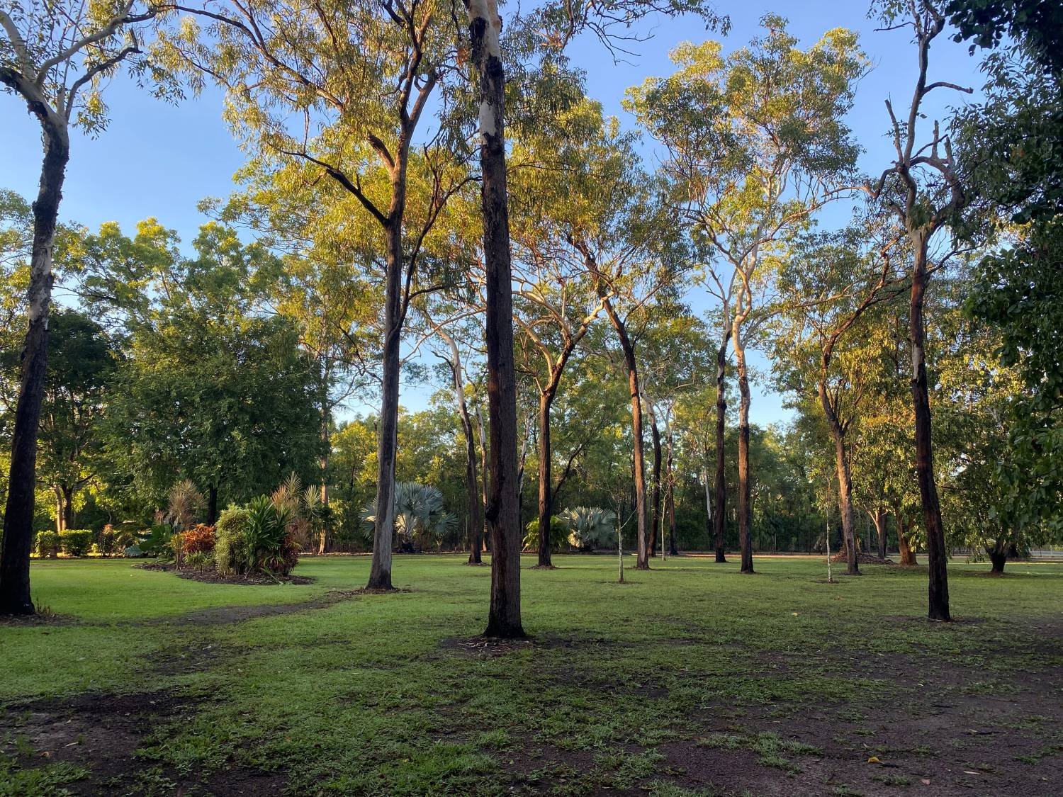 Gardening softscaping mulching commercial property Darwin, Palmerston, Humpty Doo