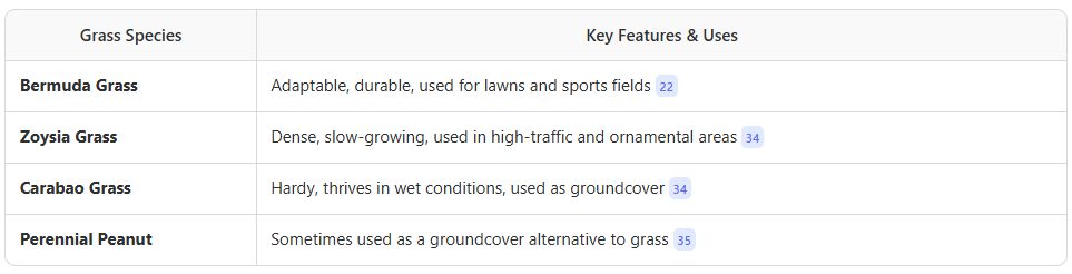 Pacific Islands grasses - turf and lawn management in Darwin